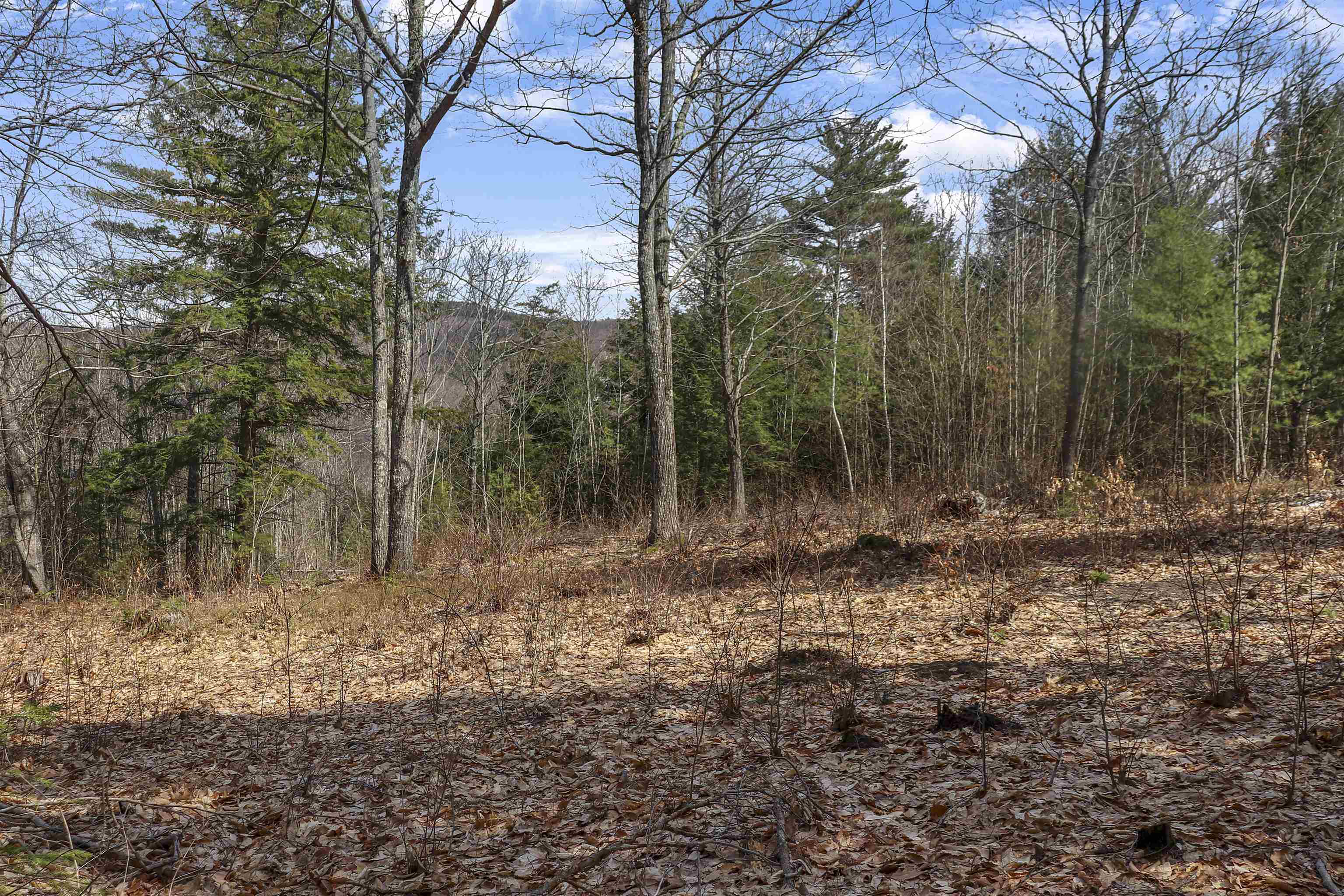 Lot 59 Deacon Willey Road