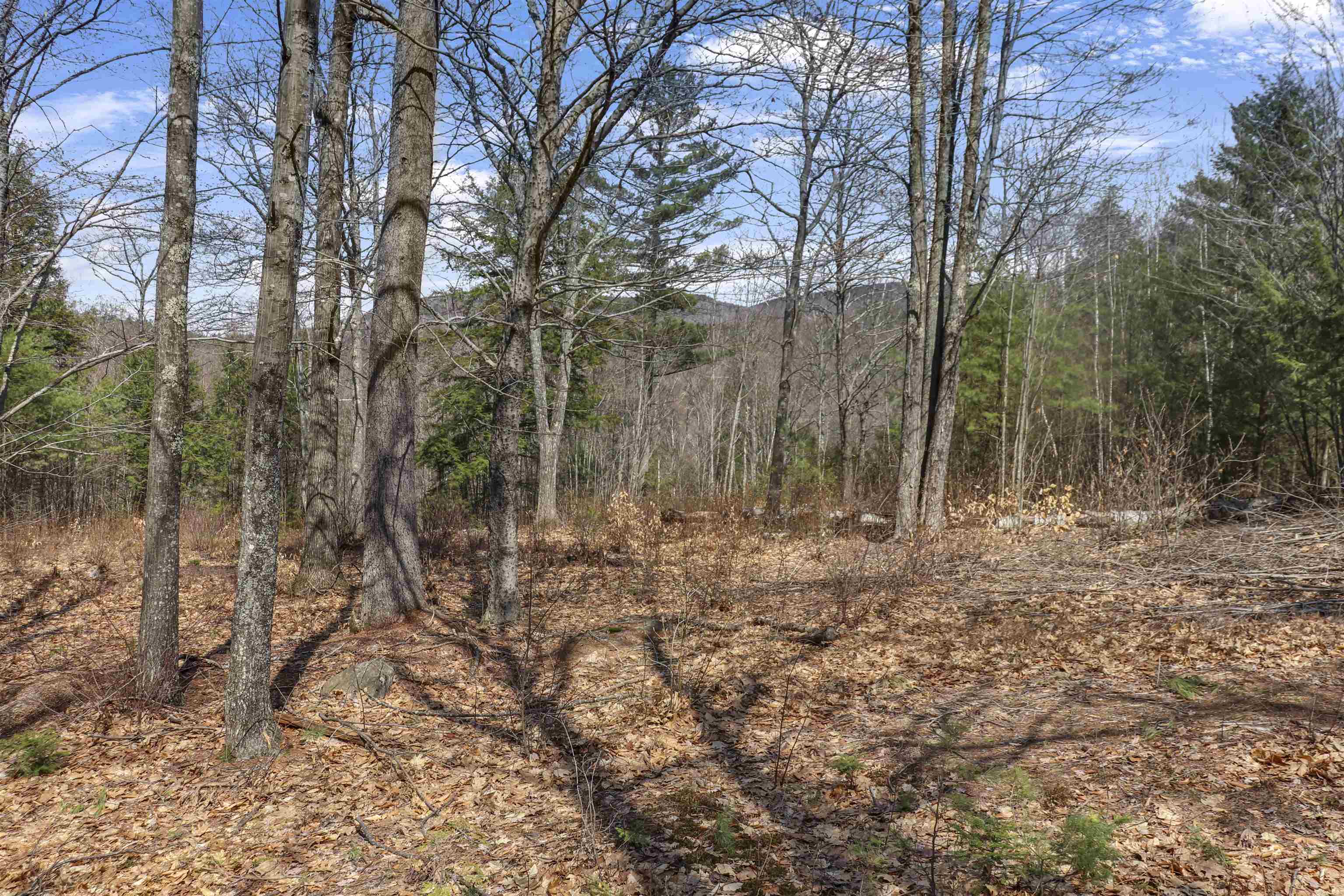 Lot 59 Deacon Willey Road