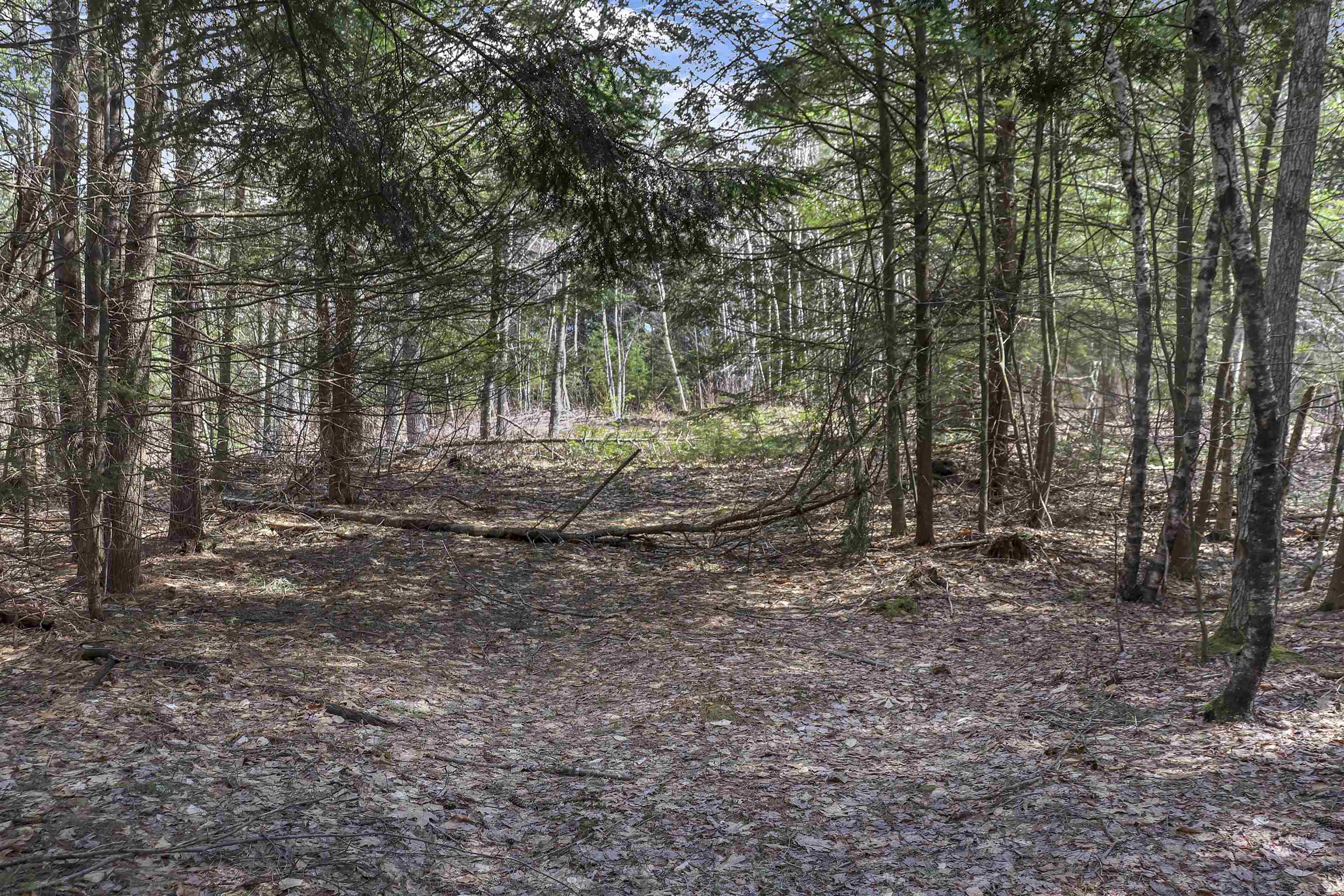 Lot 59 Deacon Willey Road