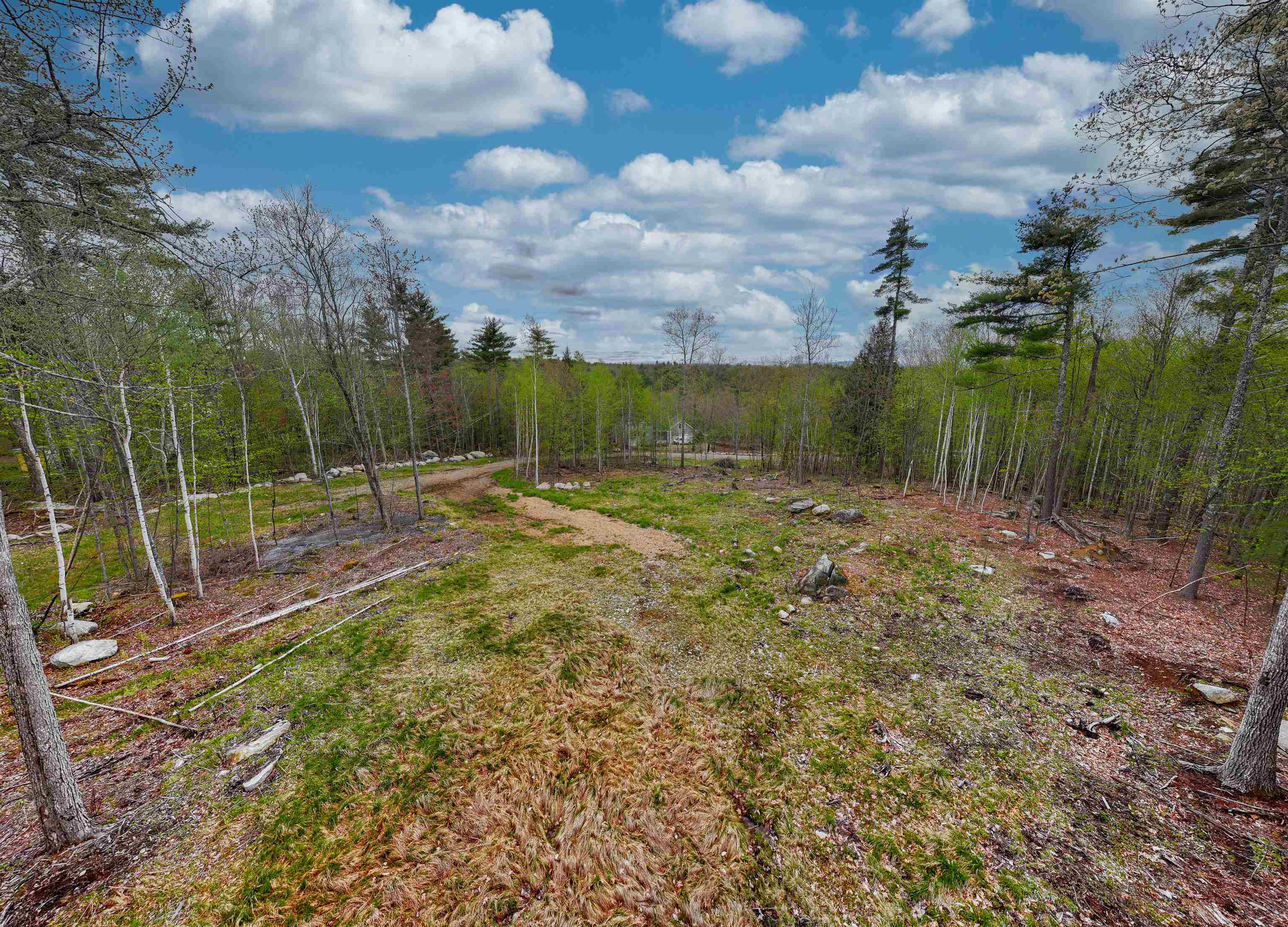 53 Lady Slipper Lane