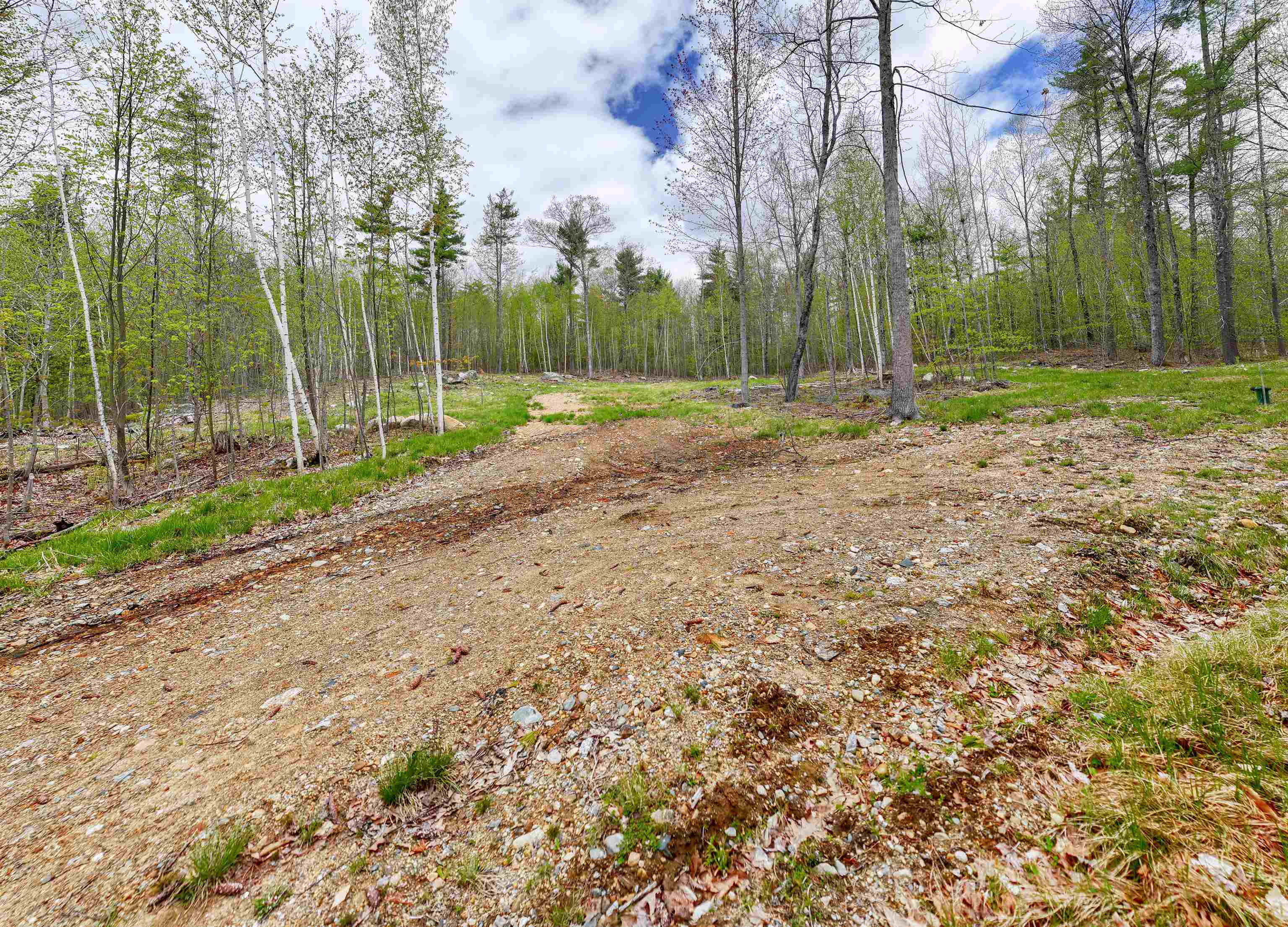 53 Lady Slipper Lane
