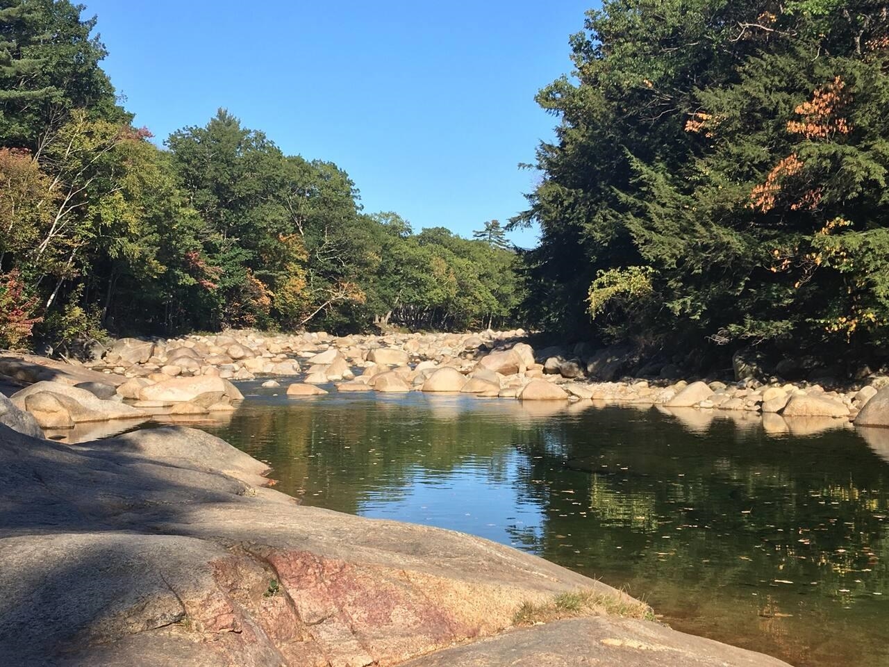 45 West Branch Road Unit: 4