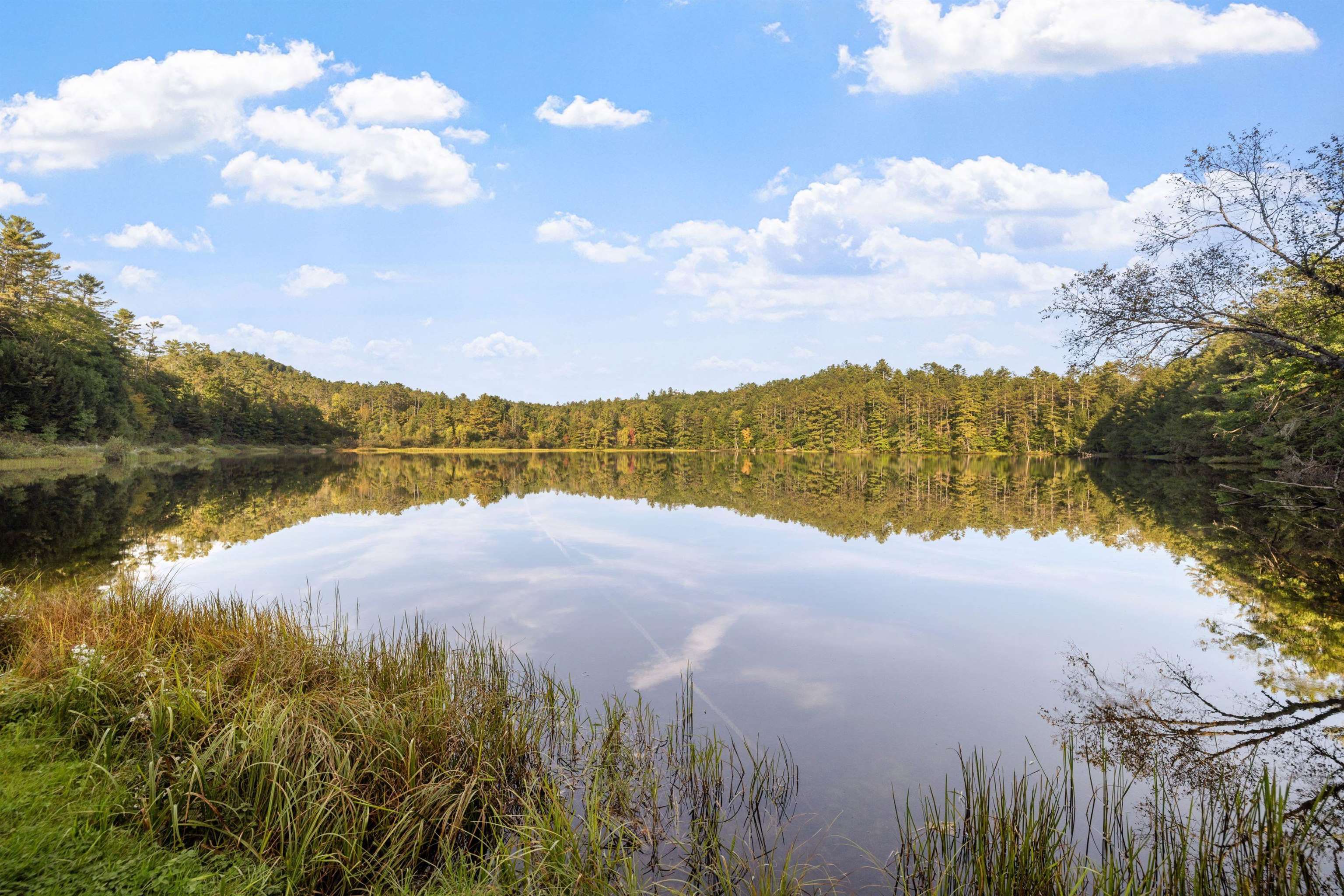 442 Perch Pond Road