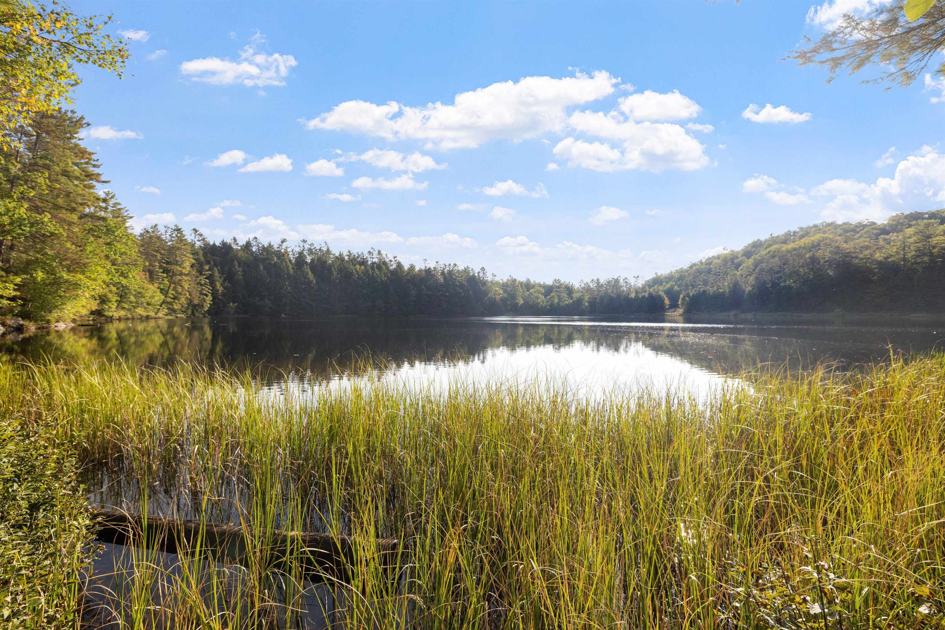 442 Perch Pond Road