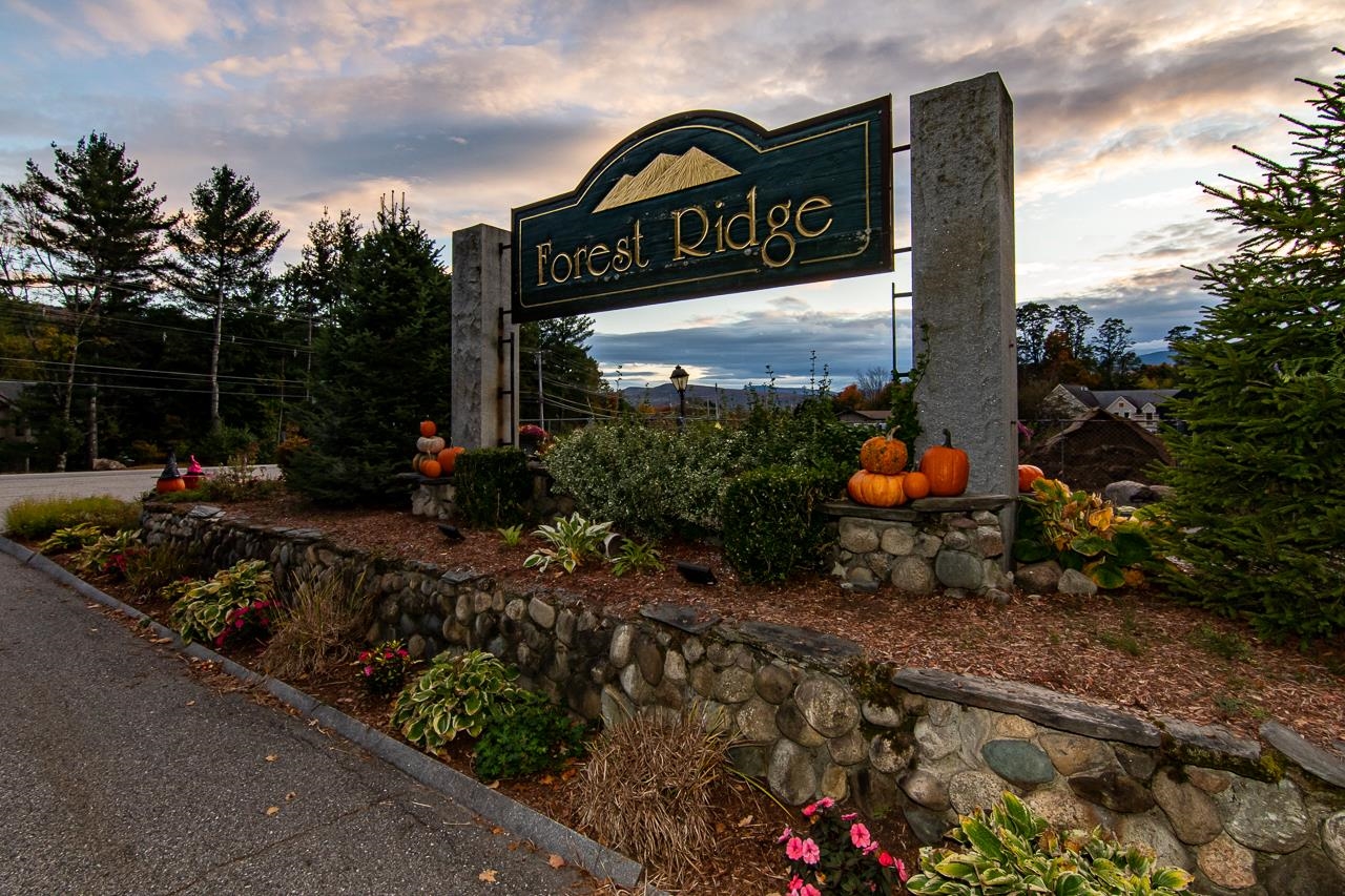 4 Twin Tip Terrace Unit: 7