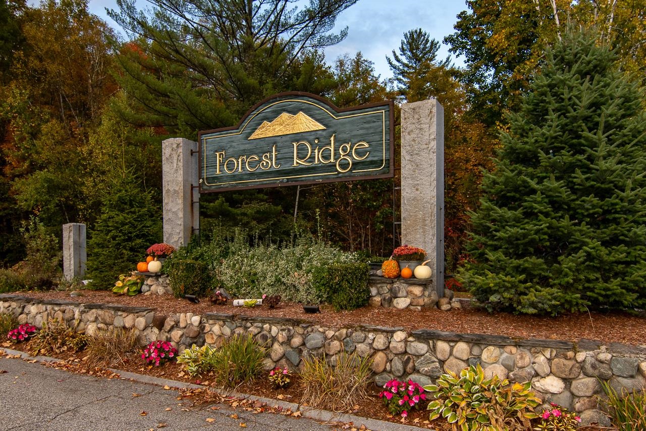 4 Twin Tip Terrace Unit: 7