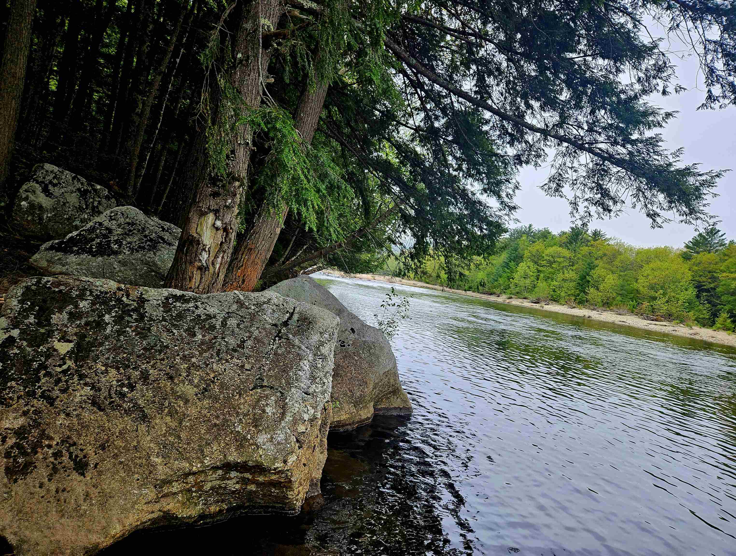 59 River Run Road