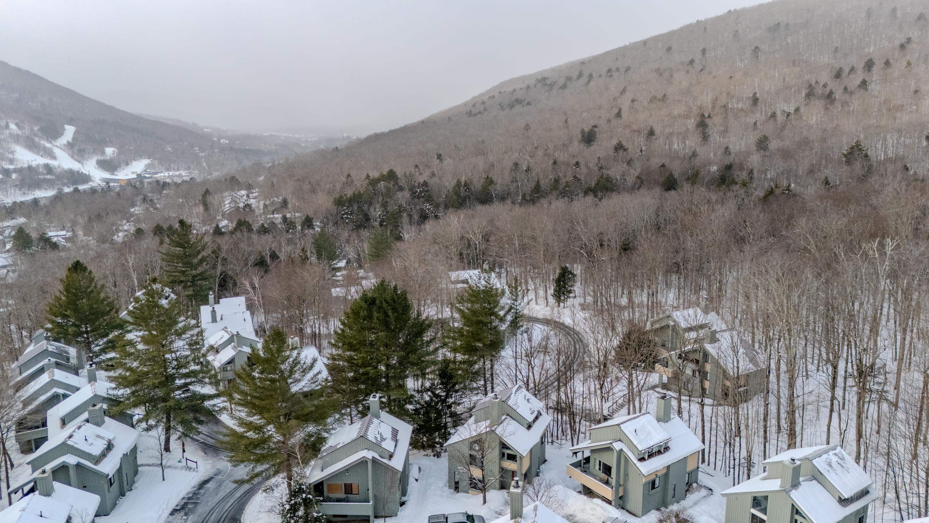 3 Big Bear Lane