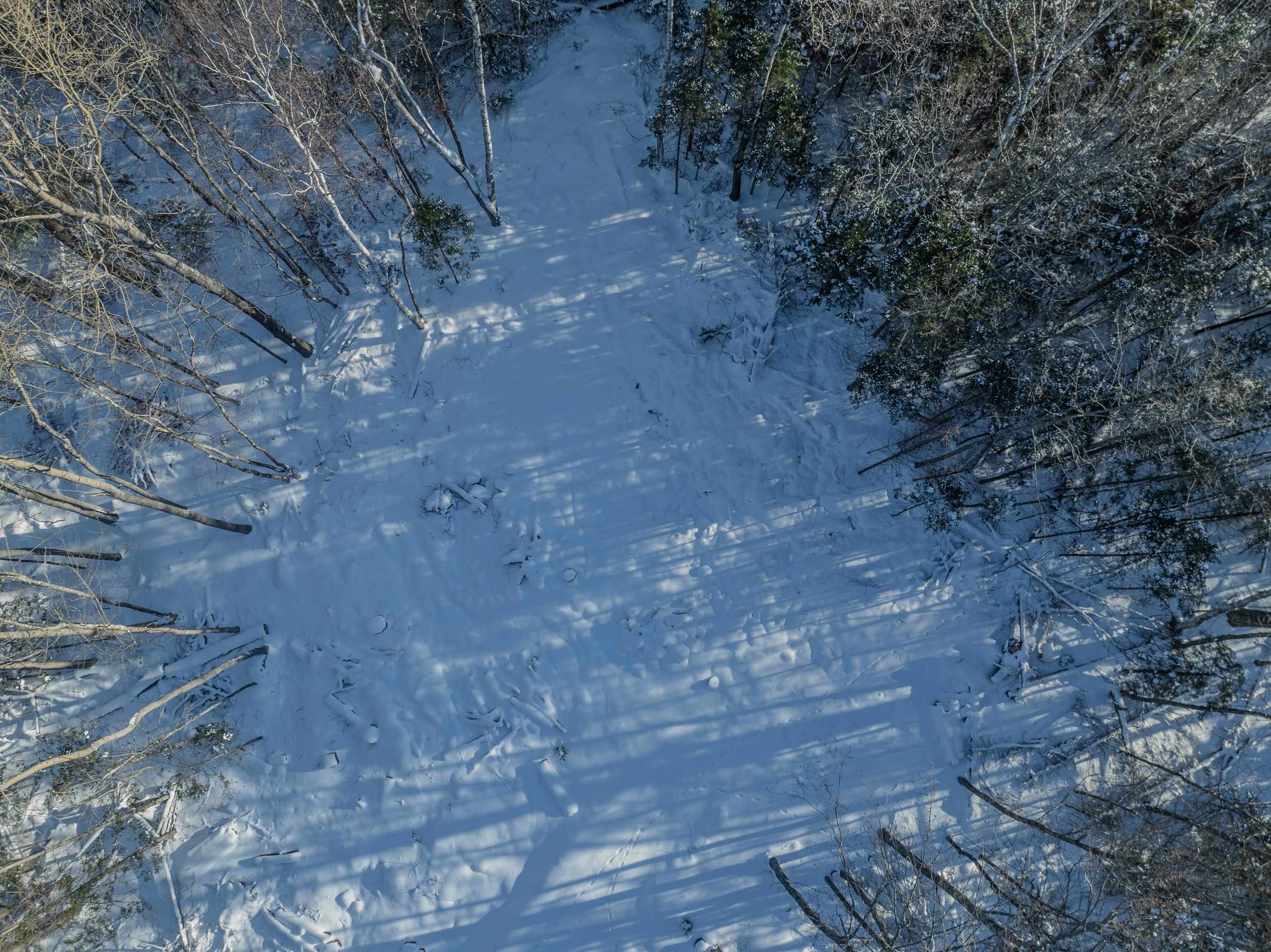 00 Trumpet Round Road