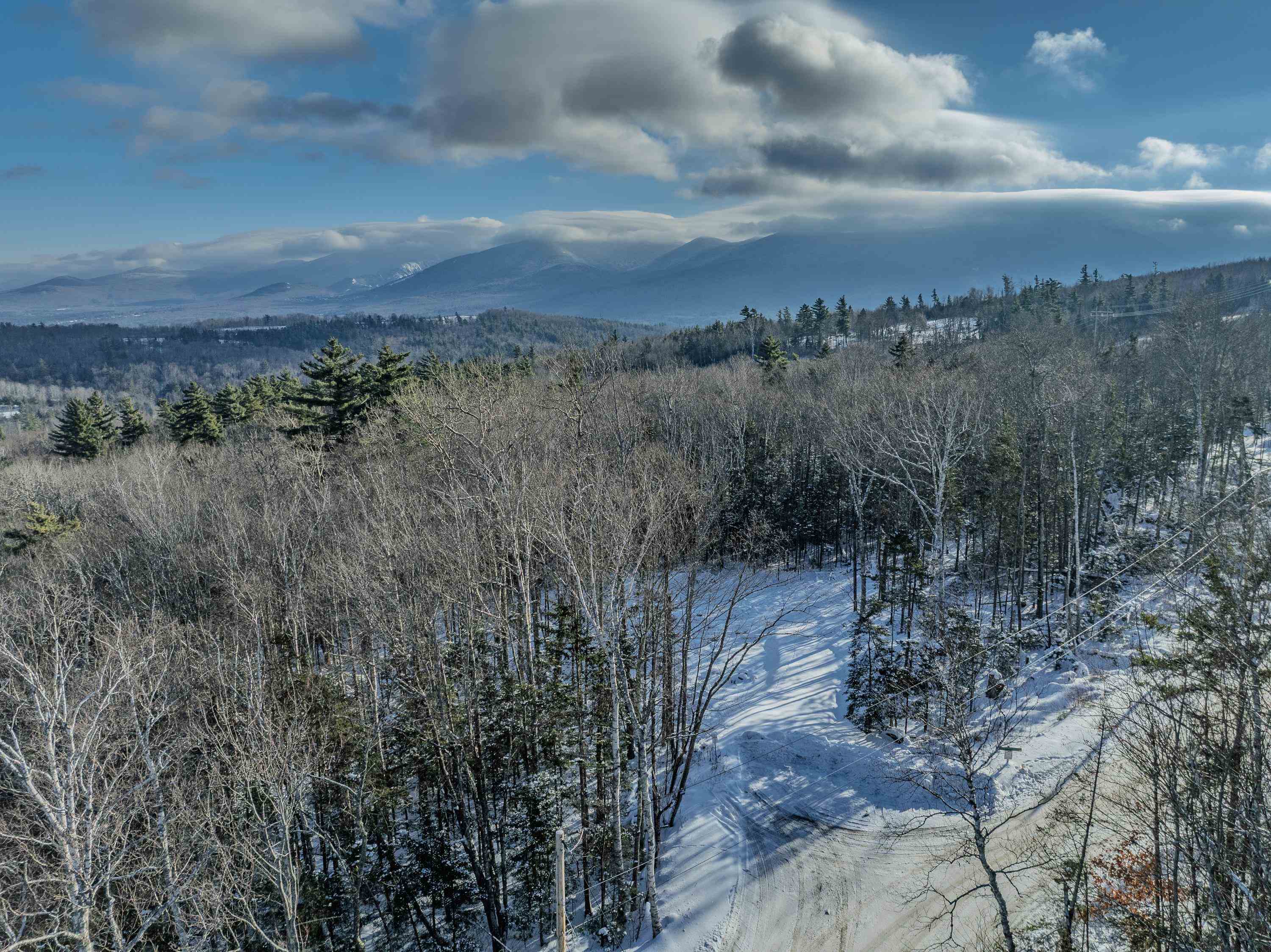 00 Trumpet Round Road