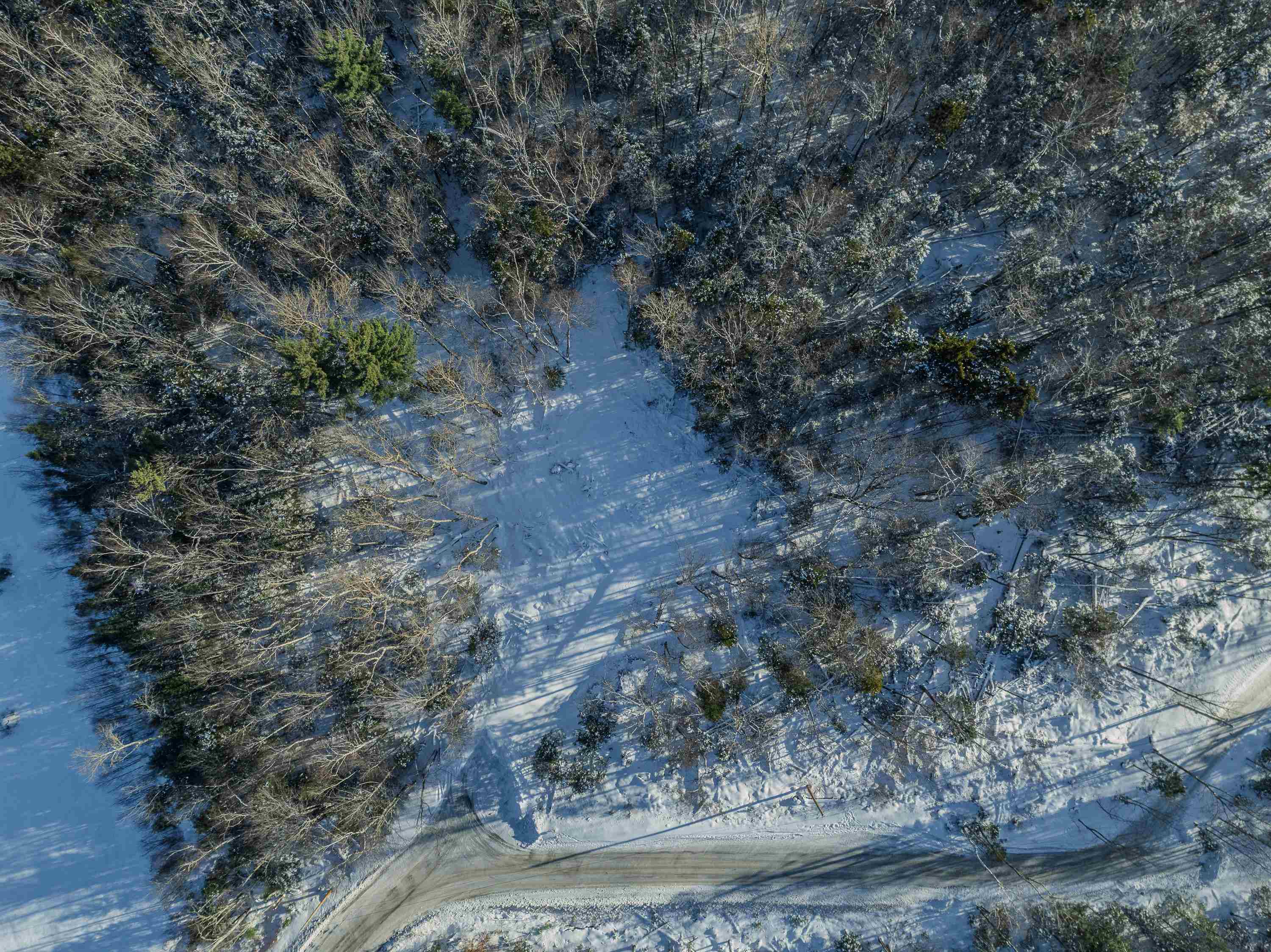 00 Trumpet Round Road