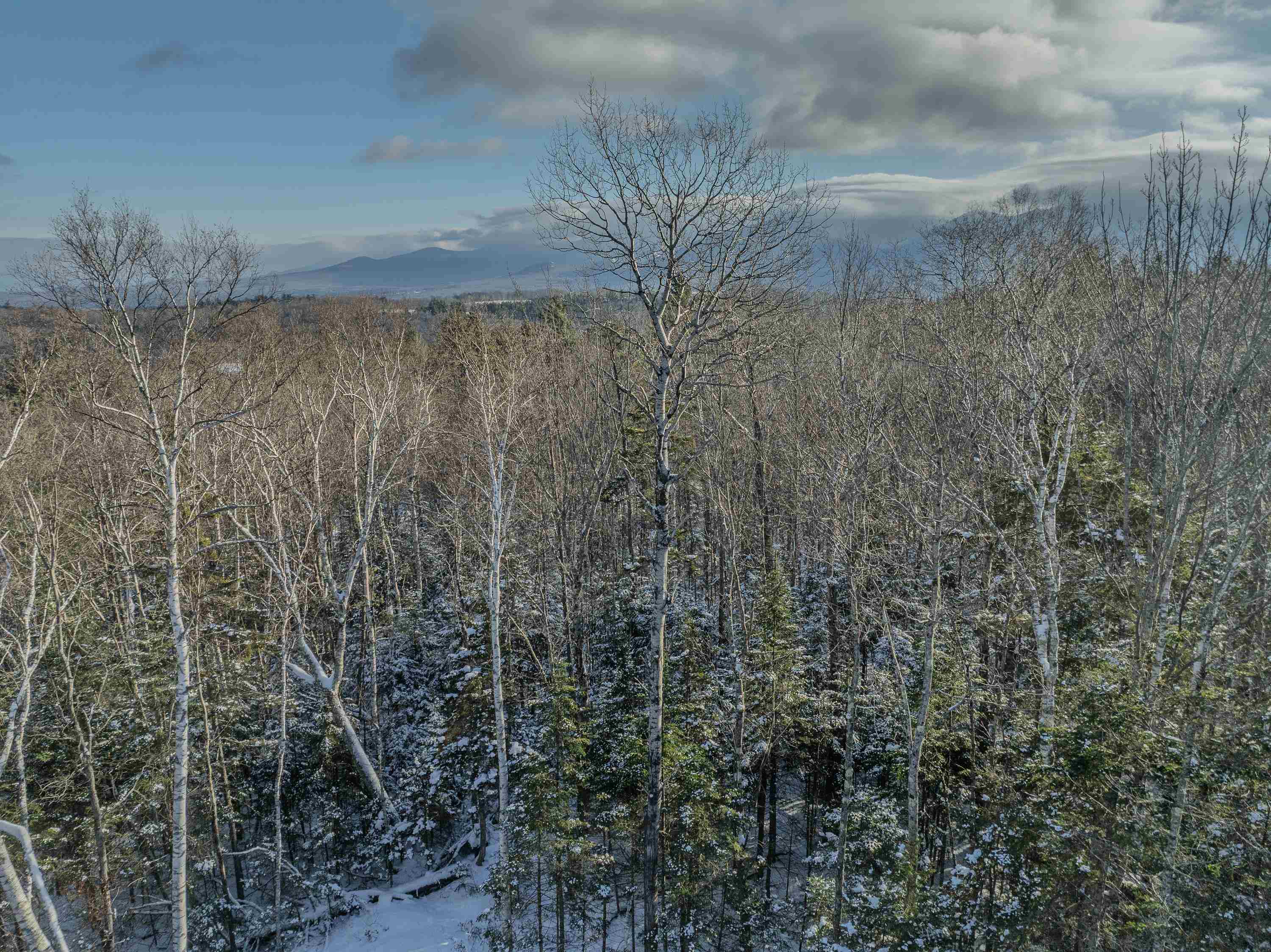 00 Trumpet Round Road