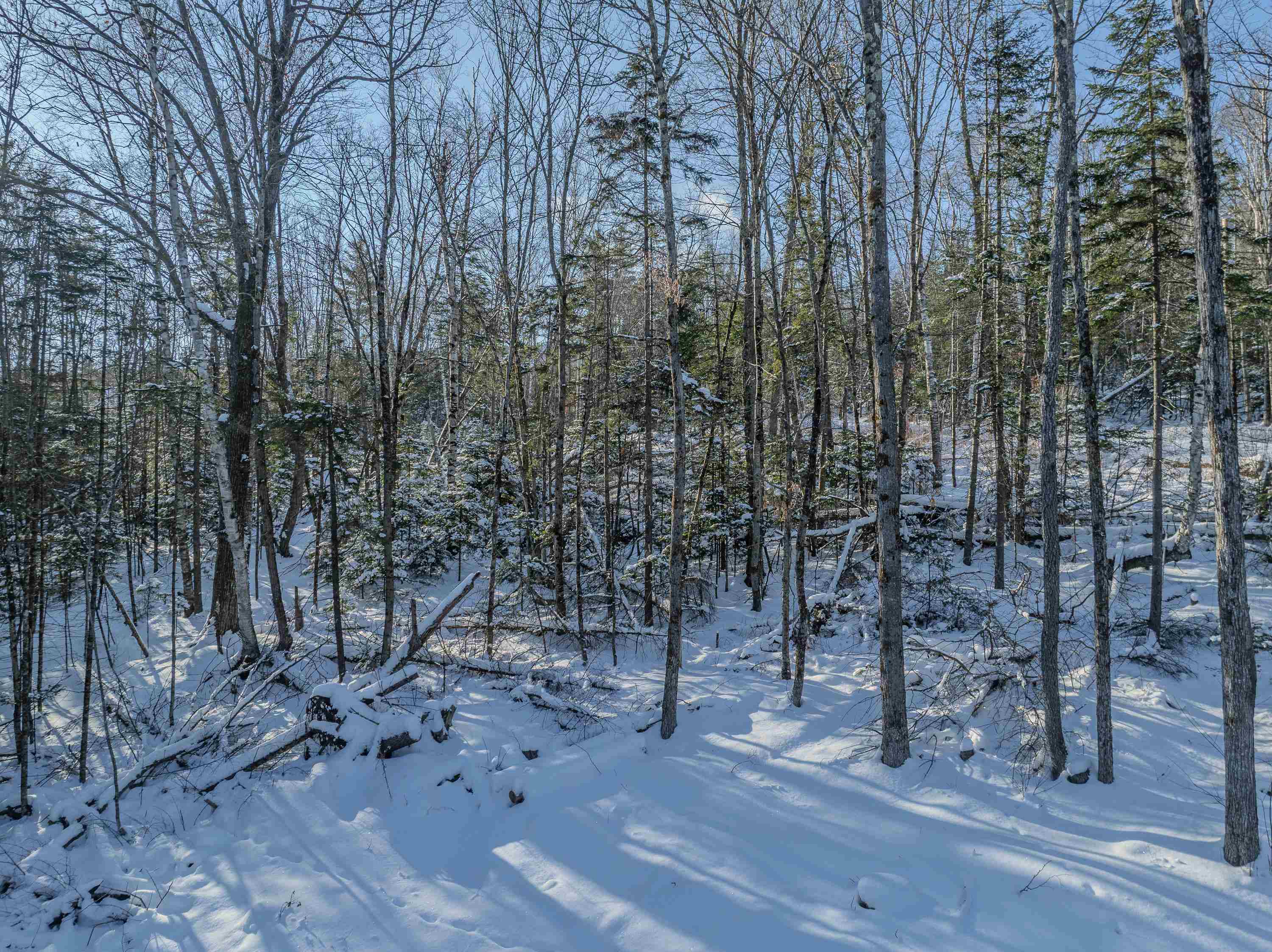 00 Trumpet Round Road