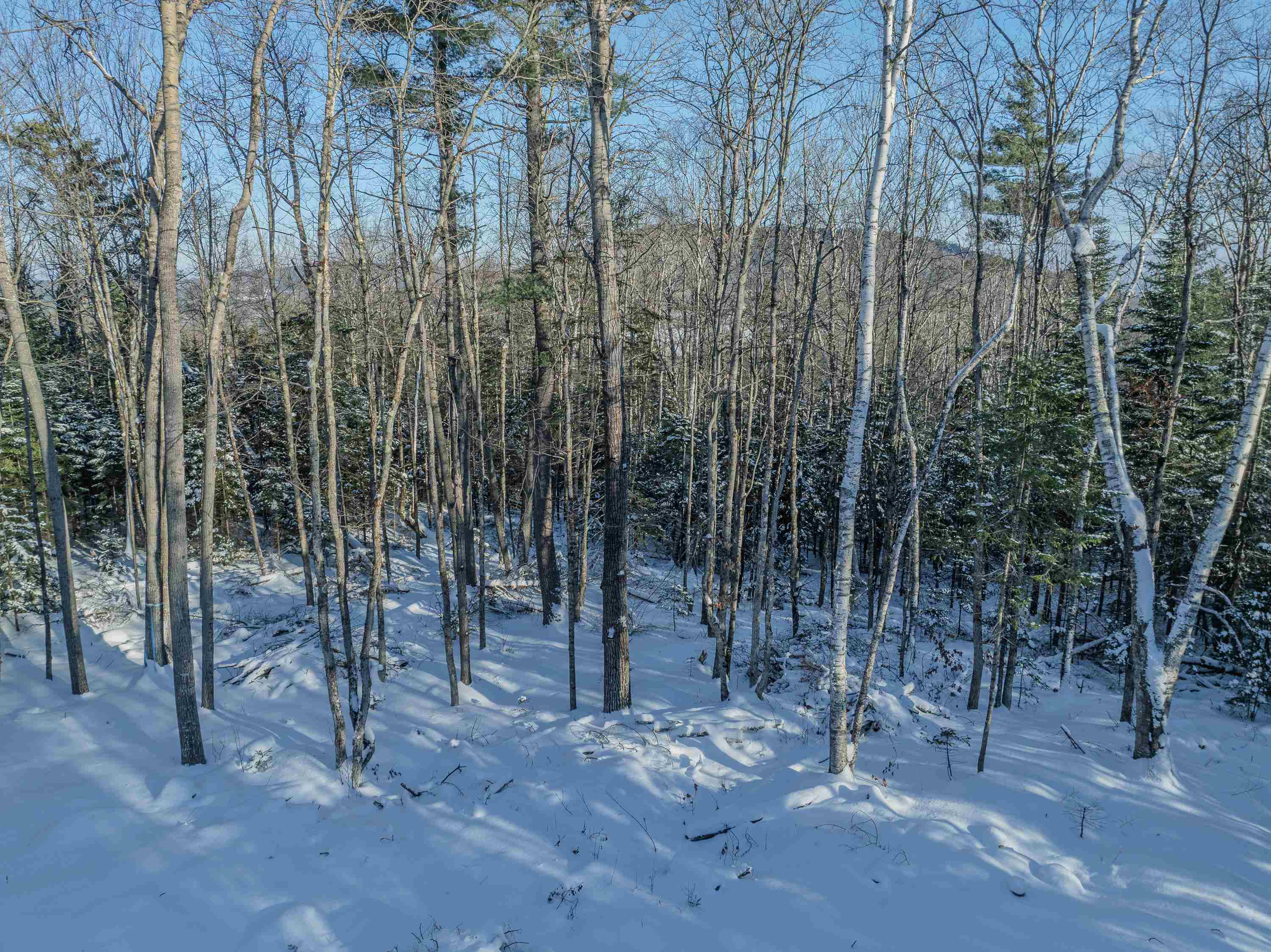 00 Trumpet Round Road