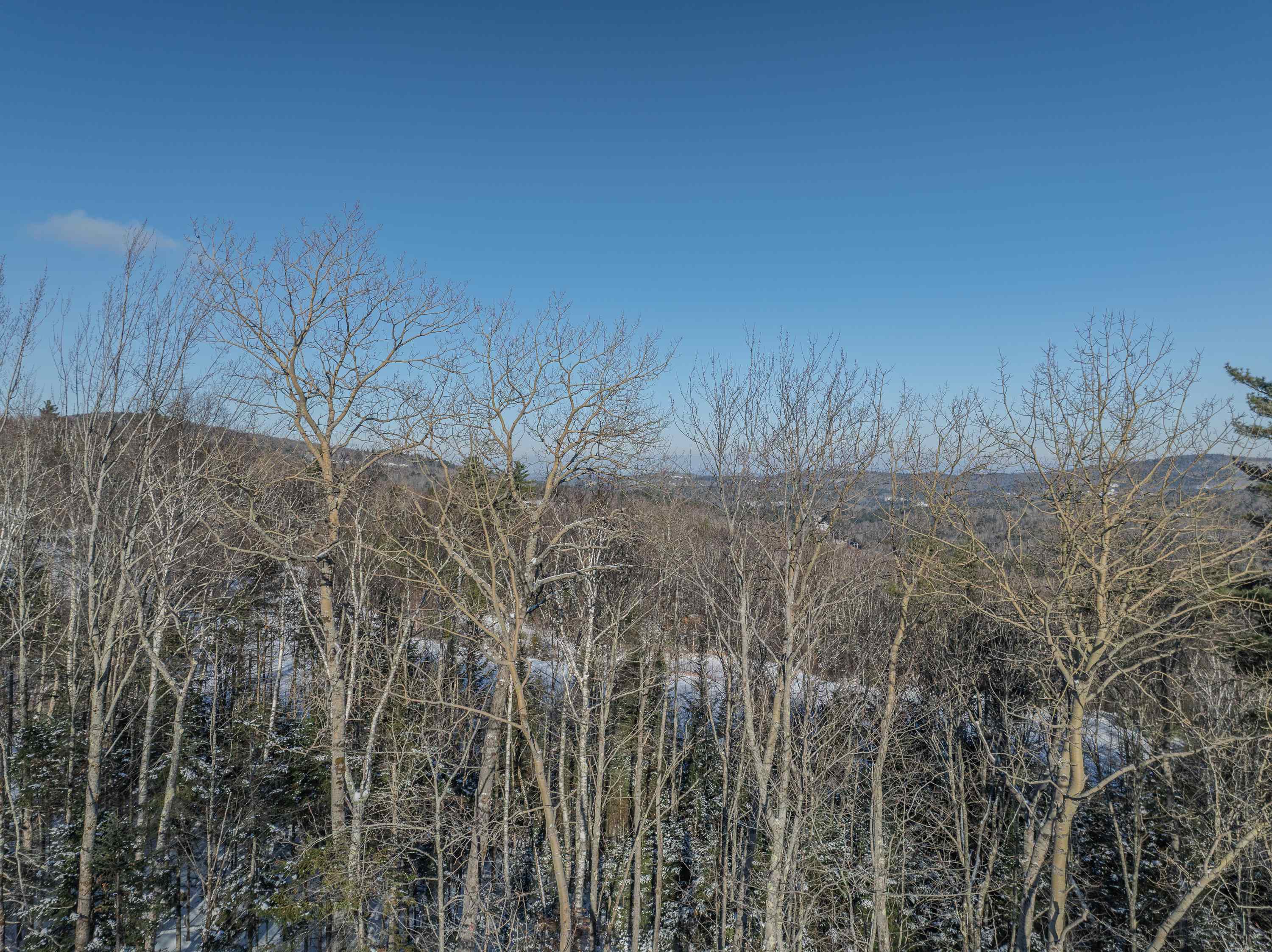 00 Trumpet Round Road