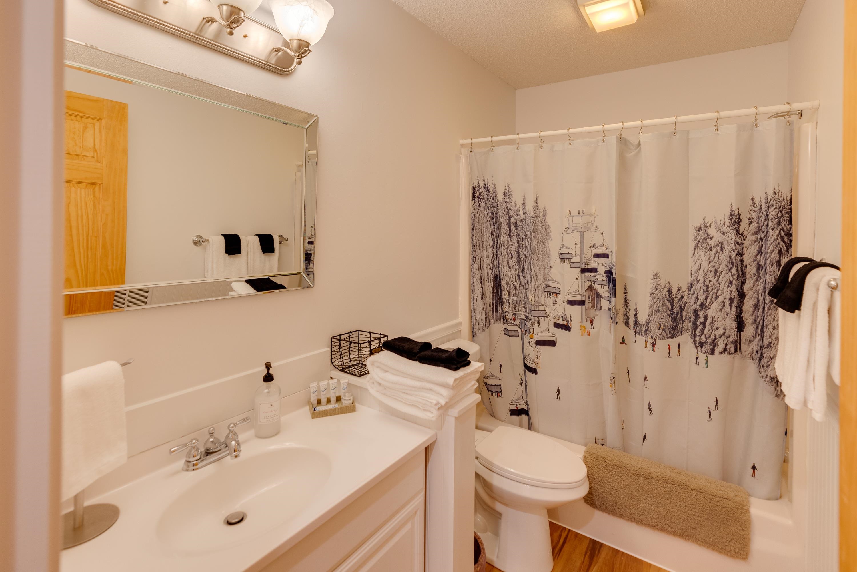 Bathroom with white vanity, toilet, and snowy ski-lift shower curtain.