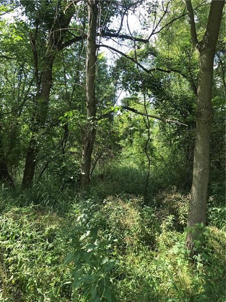 Columbus Dr Butler Rd