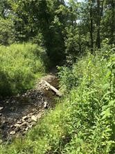 Columbus Dr Butler Rd