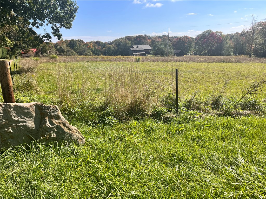 Lot #1 Old Plank Road