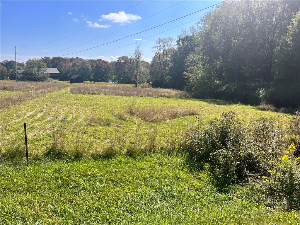 Lot #2 Old Plank Road