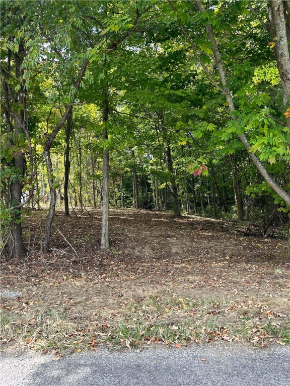 000 Hickory View Dr