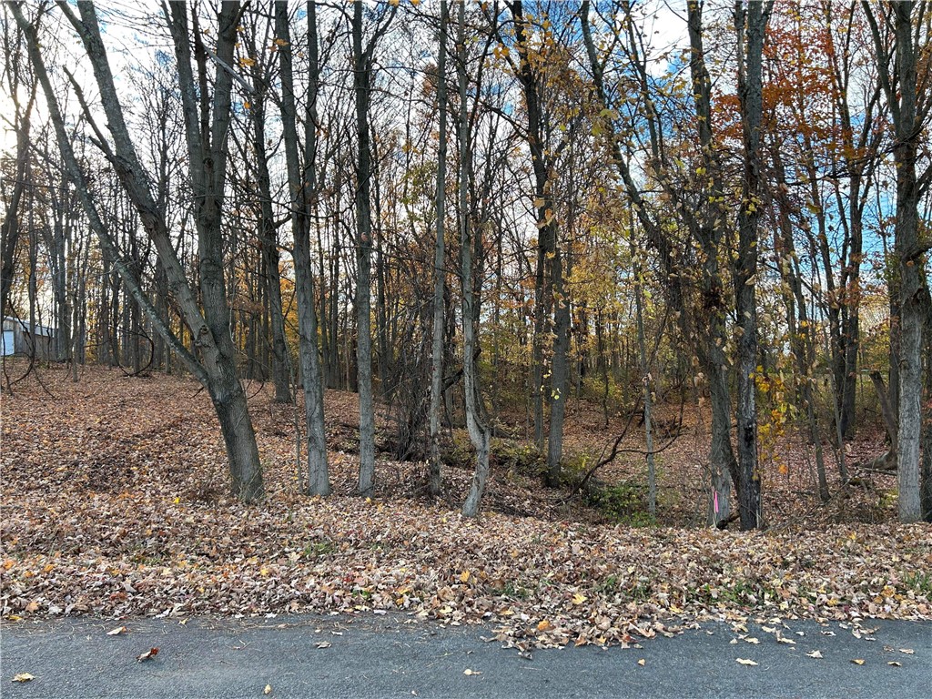 000 Hickory View Dr