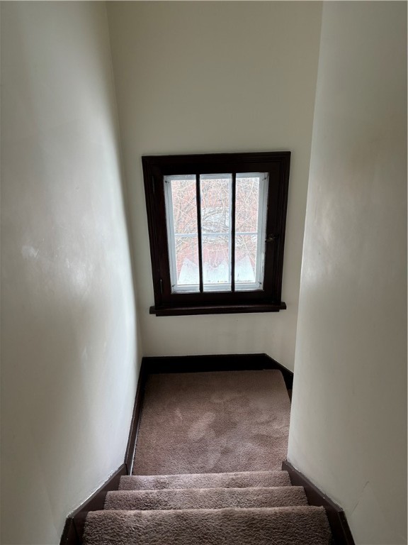 37 Beyrleye Ave