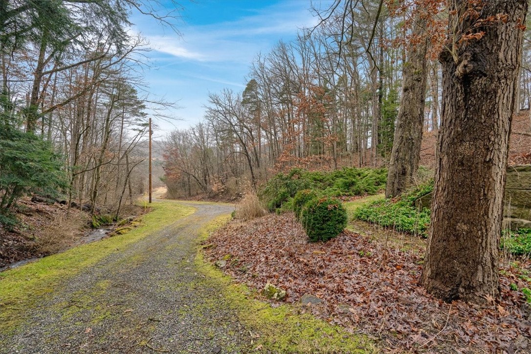 287 Yellow Creek Rd