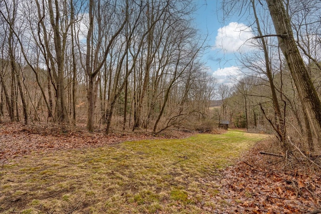 287 Yellow Creek Rd