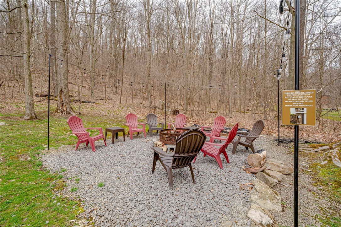 151 Black Bear Ln