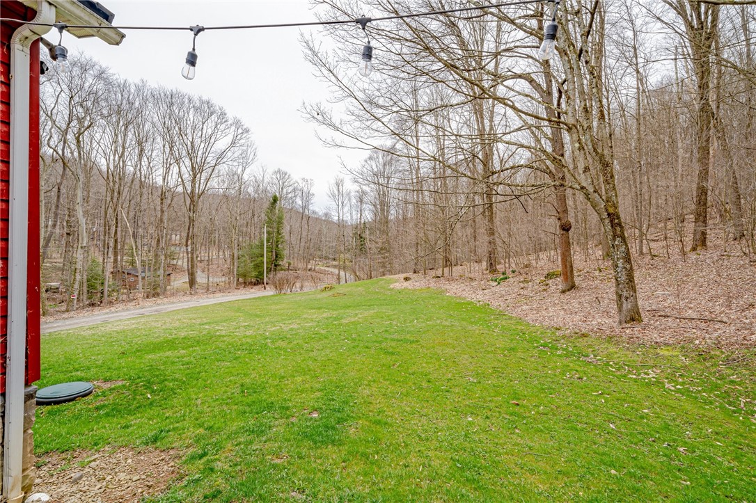 151 Black Bear Ln