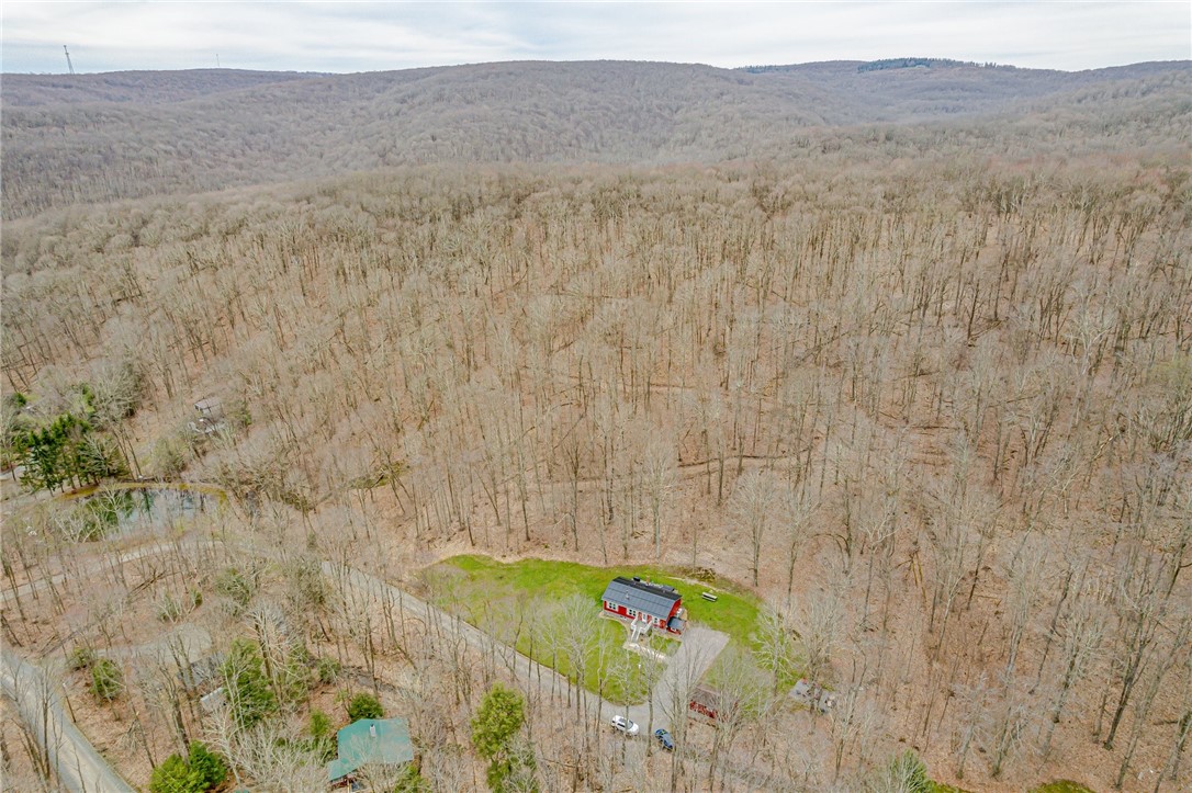 151 Black Bear Ln