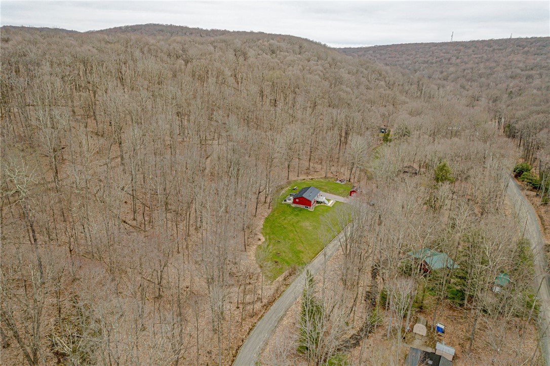 151 Black Bear Ln