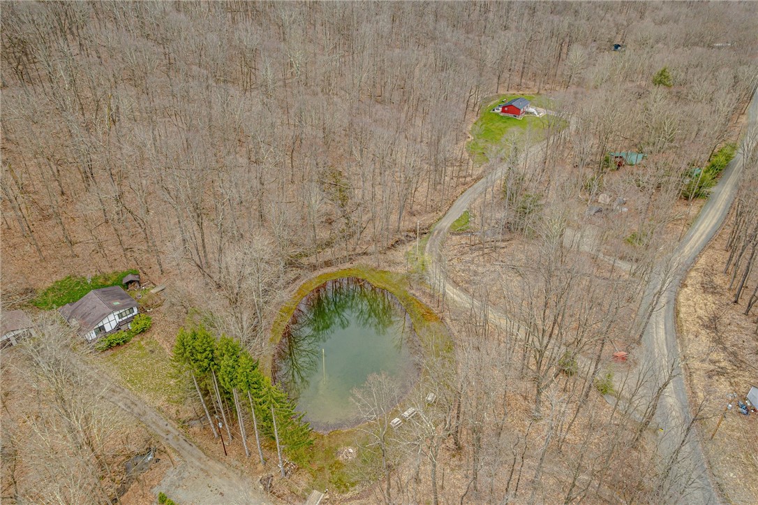 151 Black Bear Ln