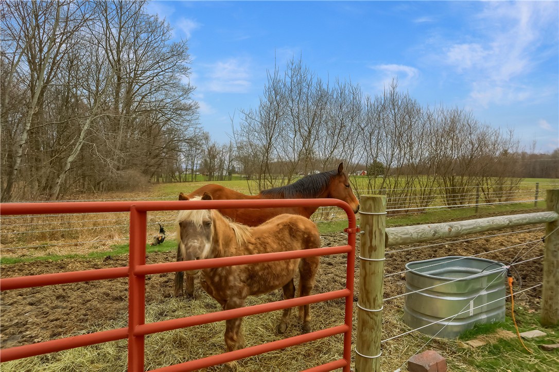 14513 S Townline Road