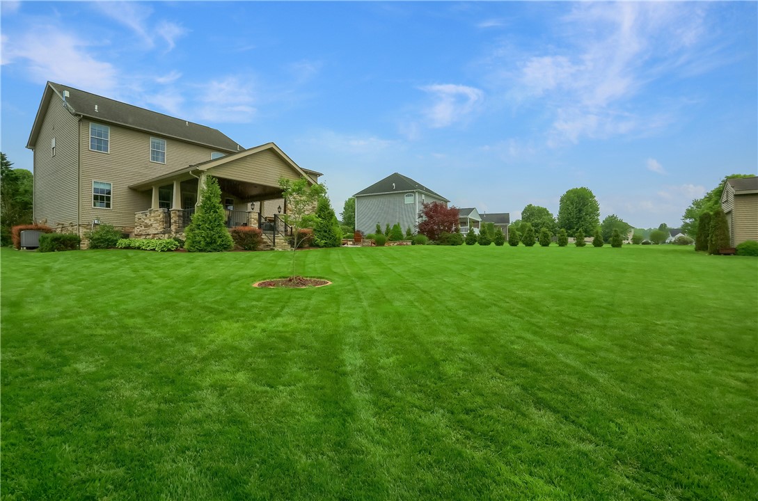 665 Violet CT