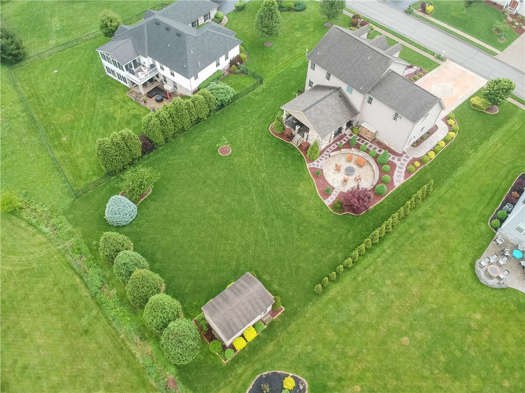 665 Violet CT