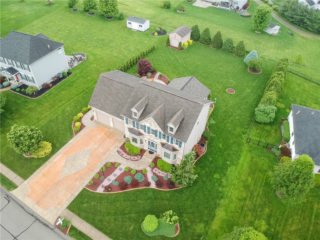 665 Violet CT