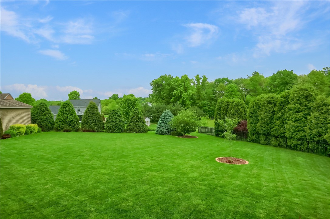 665 Violet CT