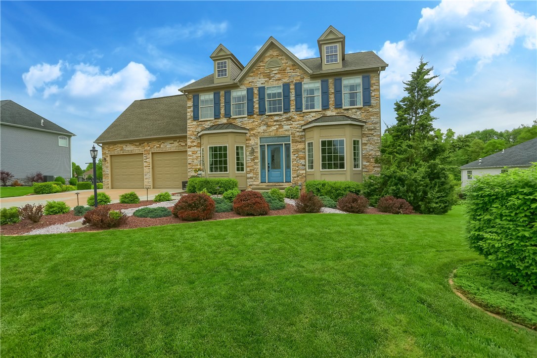 665 Violet CT