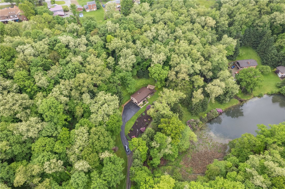 6151 Terry Ln