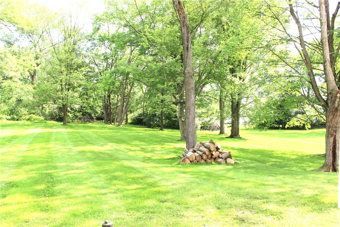 22 Buena Vista Way