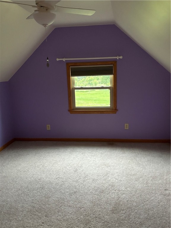3661 3661 Princeton Rd