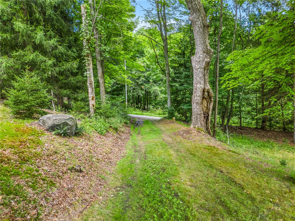 424 Conneaut Lake Rd