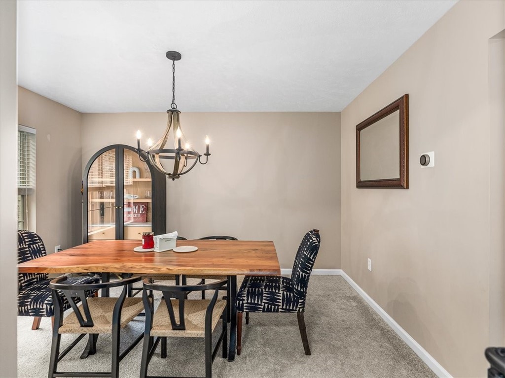116 Terra Dr
