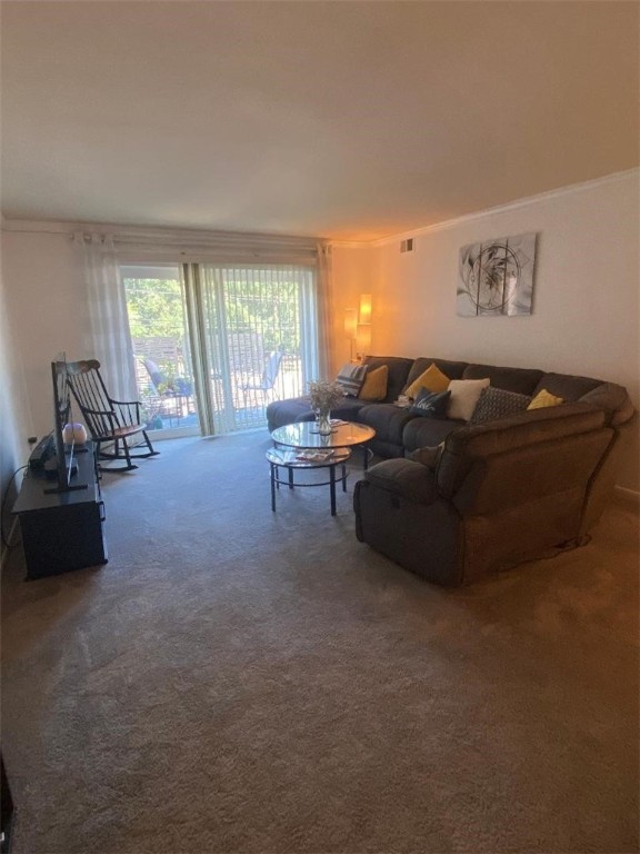 131 Forest Green Dr 131