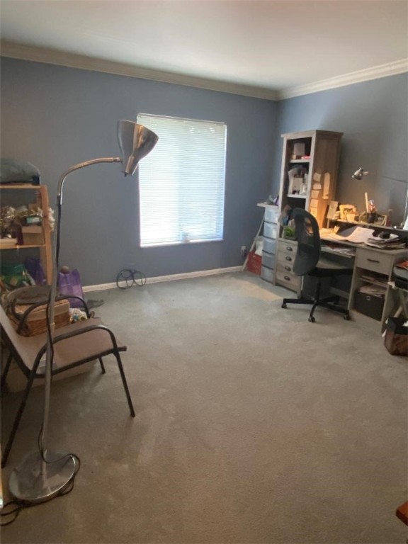 131 Forest Green Dr 131