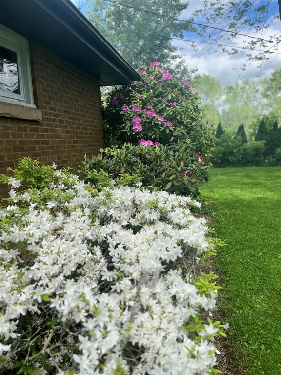 329 Wynnewood Drive