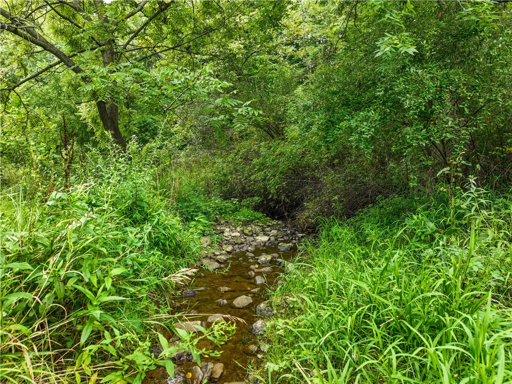 198 Camp Run Rd