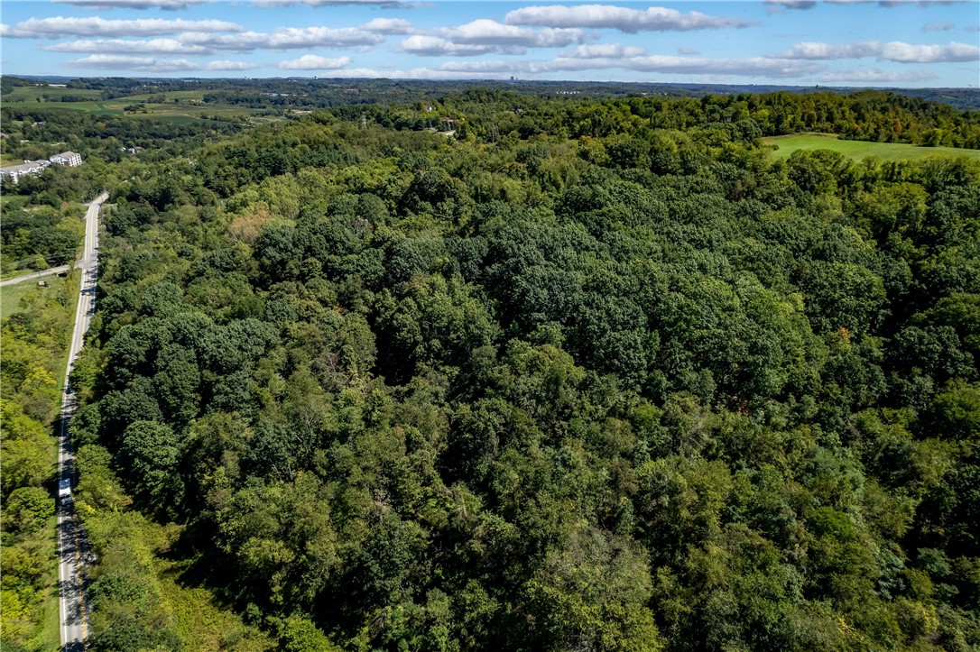 Lot 1 N Branch Rd